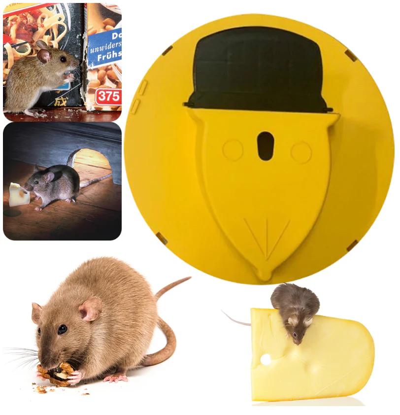 Mosy™ | Die hygienische und harmlose Mausefalle - Image 2