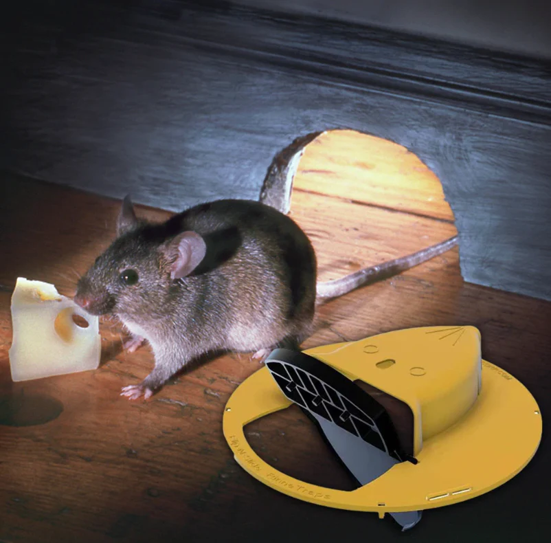 Mosy™ | Die hygienische und harmlose Mausefalle - Image 4