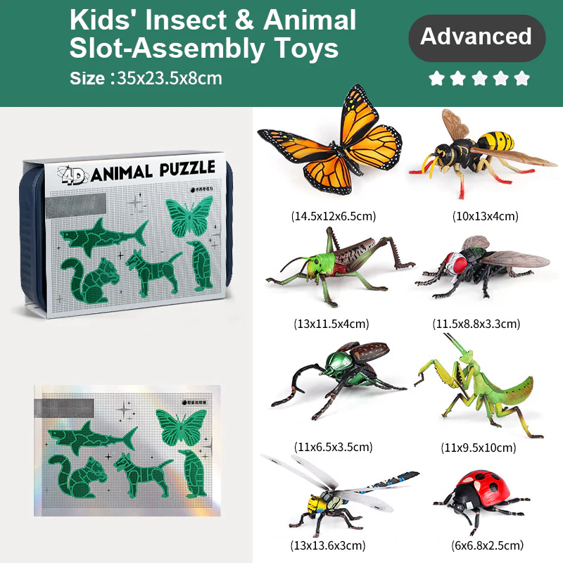 NaturePlay – Insekten- und Tier-Spielzeug für Kinder - Image 4