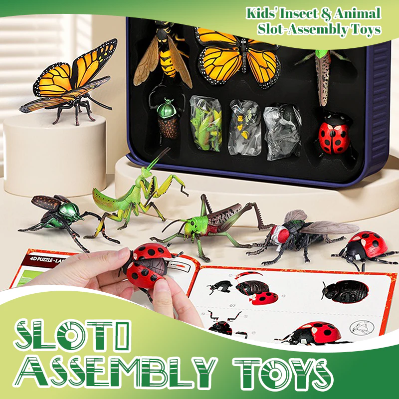 NaturePlay – Insekten- und Tier-Spielzeug für Kinder - Image 6