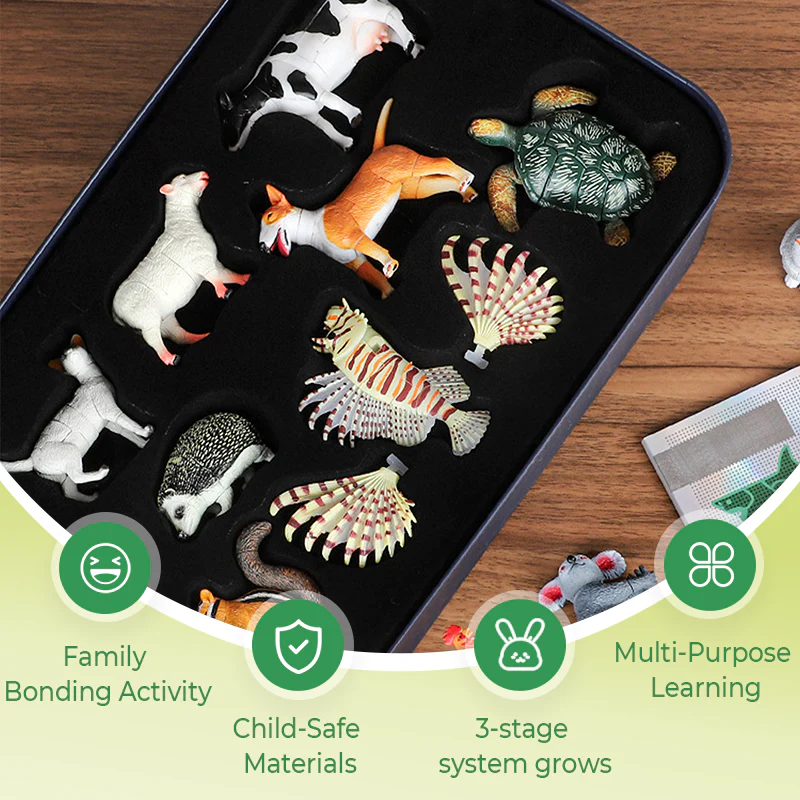 NaturePlay – Insekten- und Tier-Spielzeug für Kinder - Image 8