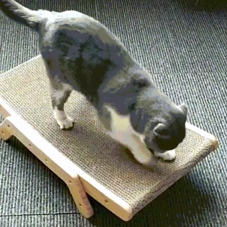 Ocerar™ Purrfect Haven Katzenliege | 50% RABATT - Image 11