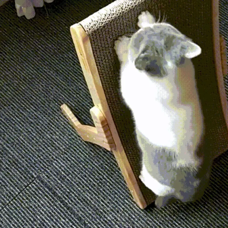 Ocerar™ Purrfect Haven Katzenliege | 50% RABATT - Image 12