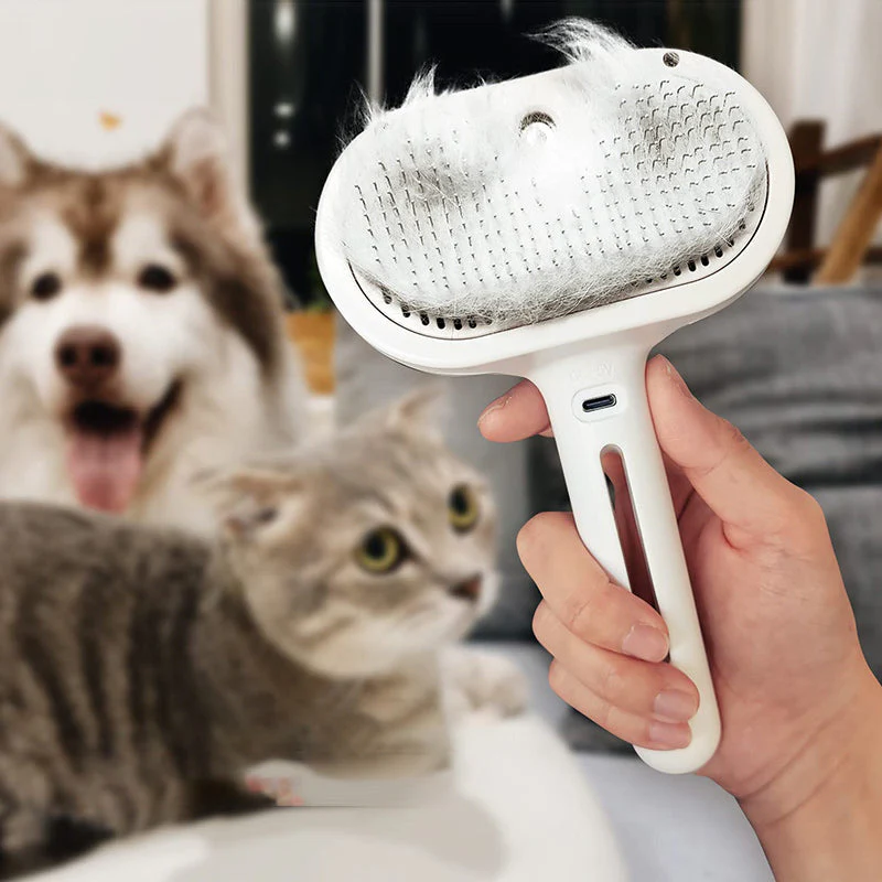 Ocerar™ Spray Katzenbürste | 50% RABATT
