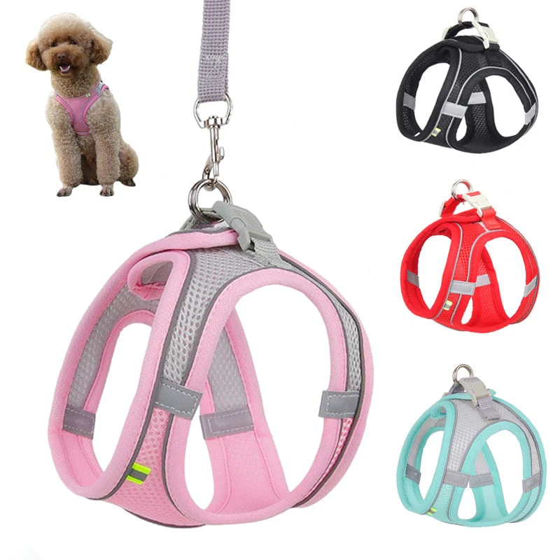 Ocerar™ Verstelbare Puppy Vest - Image 2