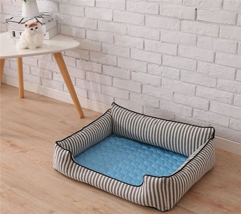 PetCooler™ - Direkte Kühlung - Image 8