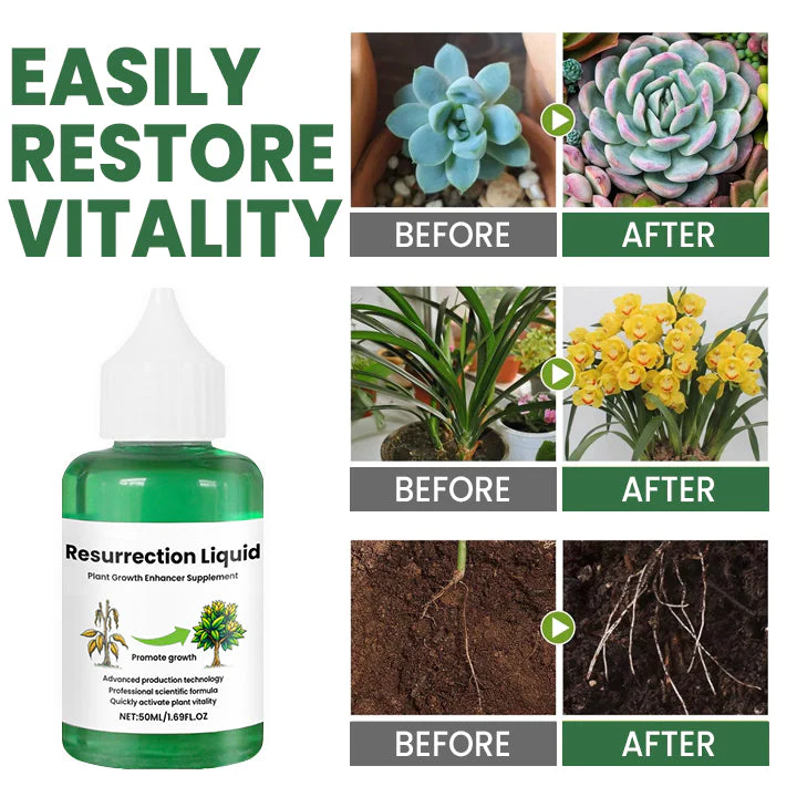 PflanzVital – Beleben Sie Ihre Pflanzen mit Resurrection Liquid! | 1+1 GRATIS - Image 5