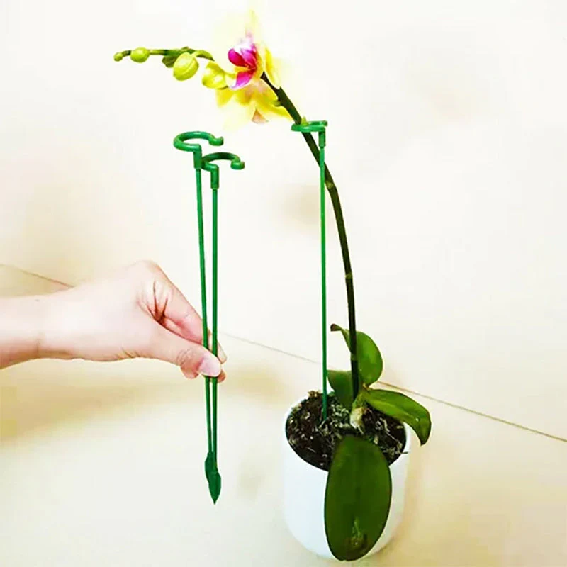 GardenMaster - Pflanzenstützpfahl | 5+5 GRATIS - Image 3