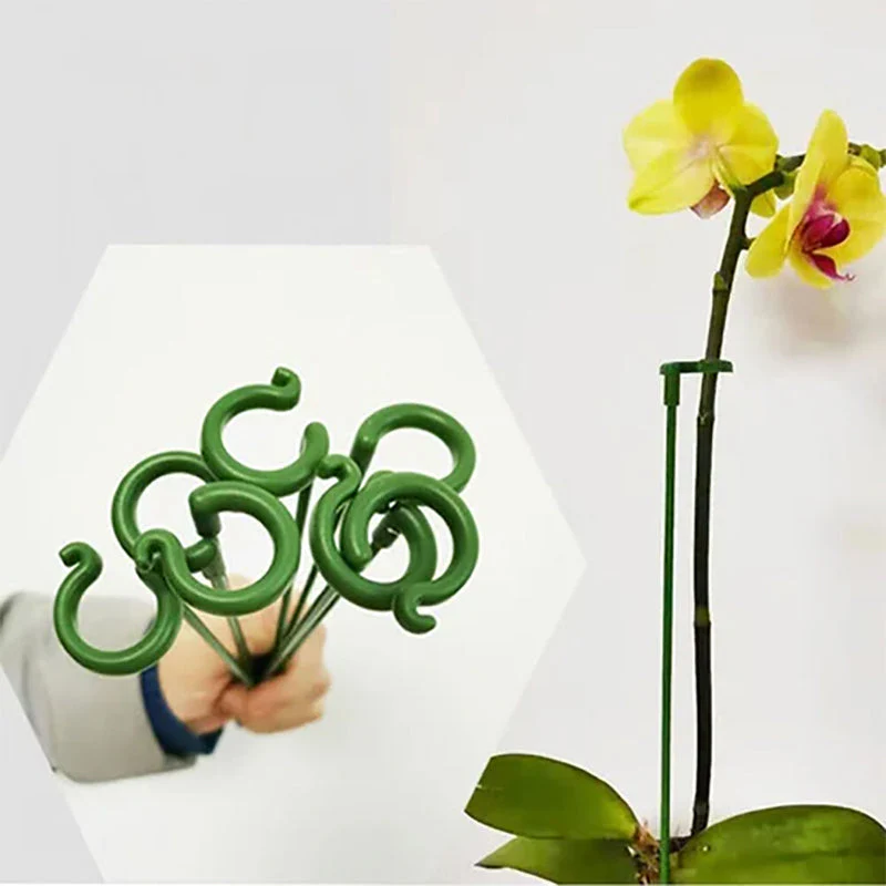 GardenMaster - Pflanzenstützpfahl | 5+5 GRATIS - Image 4