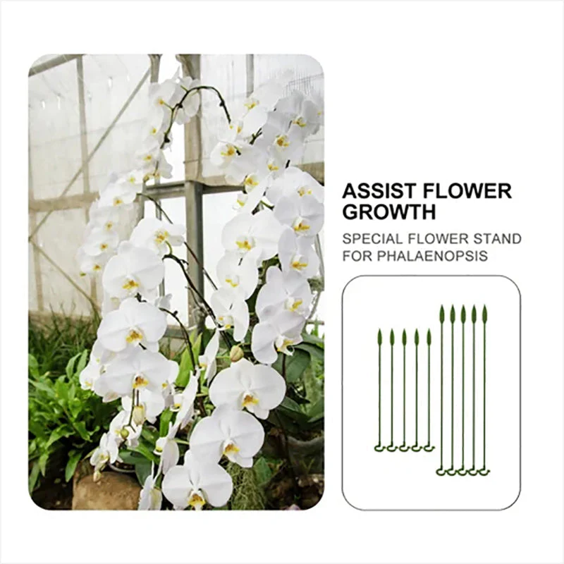 GardenMaster - Pflanzenstützpfahl | 5+5 GRATIS - Image 7