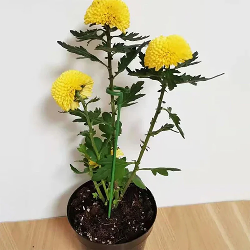 GardenMaster - Pflanzenstützpfahl | 5+5 GRATIS - Image 9