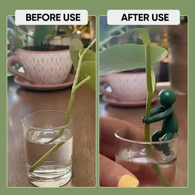 PlantBuddy - Pflanzenvermehrung Buddy - Image 2