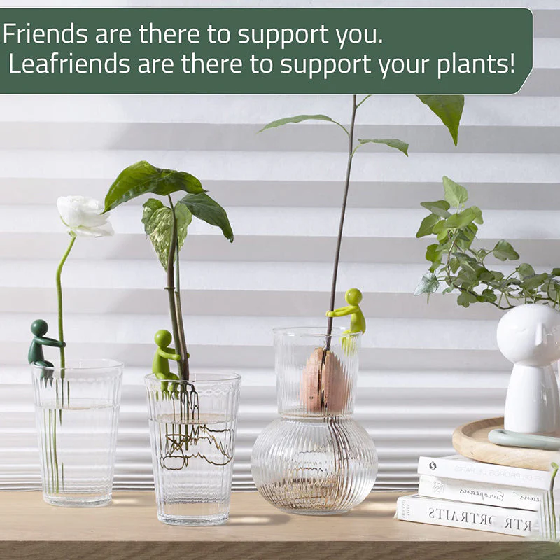 PlantBuddy - Pflanzenvermehrung Buddy - Image 4