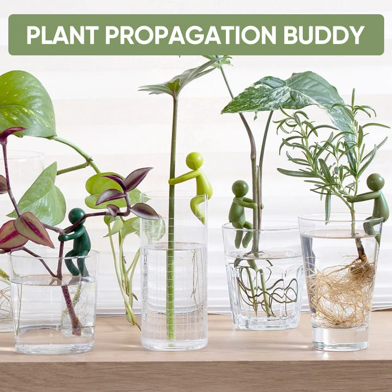 PlantBuddy - Pflanzenvermehrung Buddy - Image 5