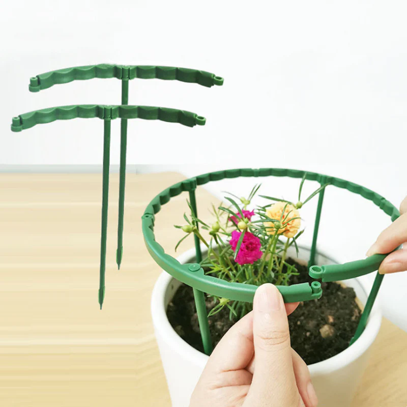 PlantSnap Ringe — Wachsen Sie stark, bleiben Sie aufrecht