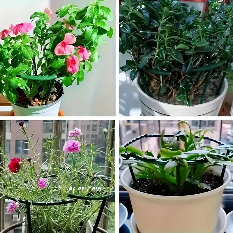 PlantSnap Ringe — Wachsen Sie stark, bleiben Sie aufrecht - Image 6