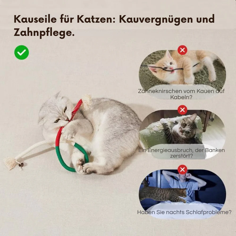 PurrPlay – Kauspielzeug für Katzen | 1+2 GRATIS