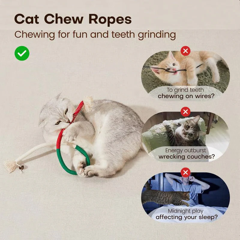 PurrPlay – Kauspielzeug für Katzen | 1+2 GRATIS - Image 3