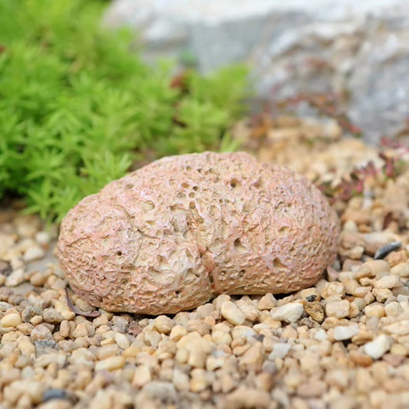SafeStone – Versteckbox „Steinsimulation“ - Image 15