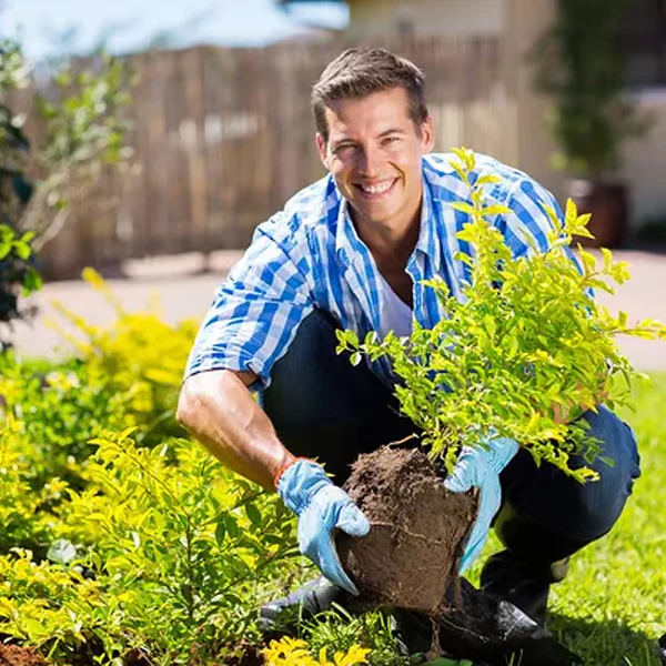 SoilGuard – Professionelles Lösungsmittel 120g | 1+1 GRATIS - Image 10