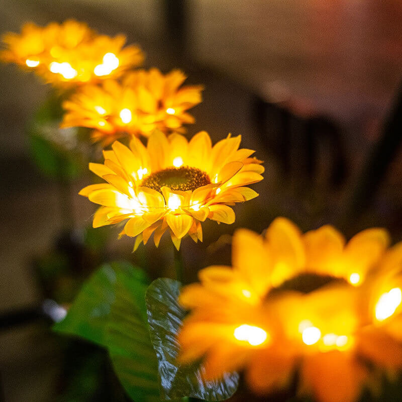 SunGlow™ – Solarblumen für Licht & Stimmung | 50% RABATT