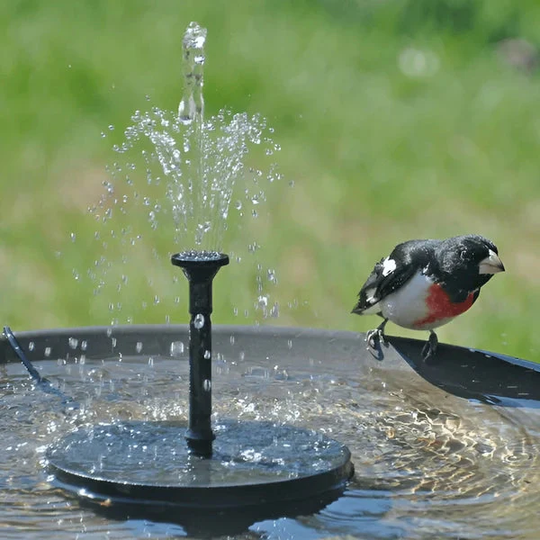 SolarFlow — Gartenbrunnen Pumpe | 50% RABATT - Image 5