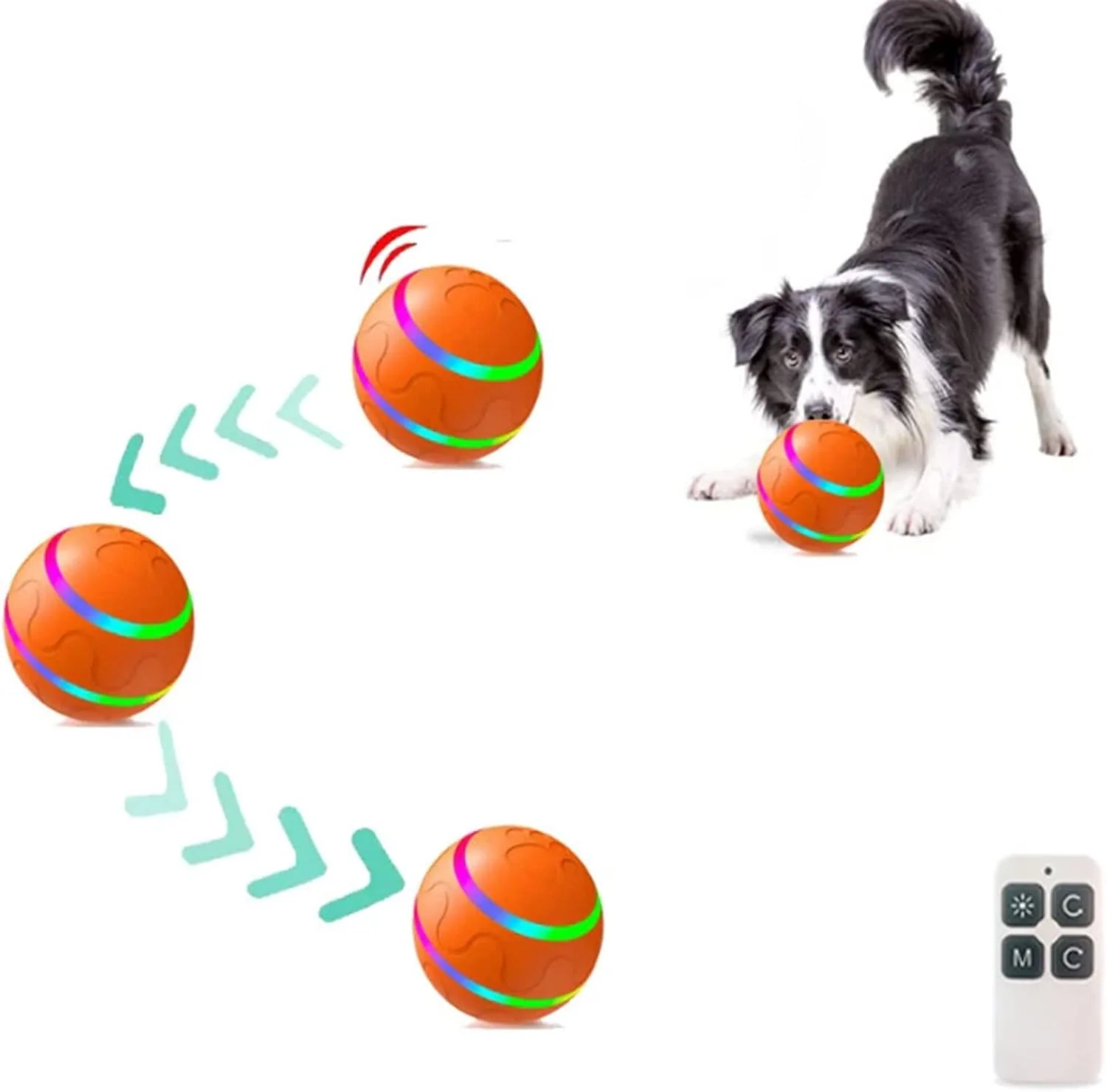 Spielen Sie Paw Ball - Der ultimative Spaßbegleiter - Image 7
