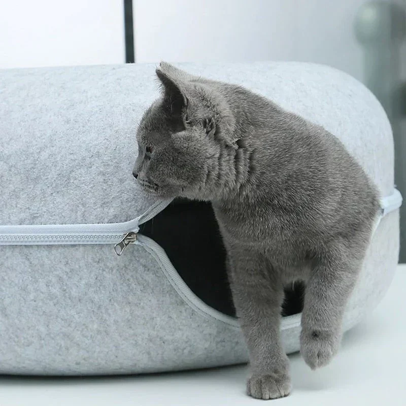 Supreme Katzen-Donut | 50% RABATT - Image 3