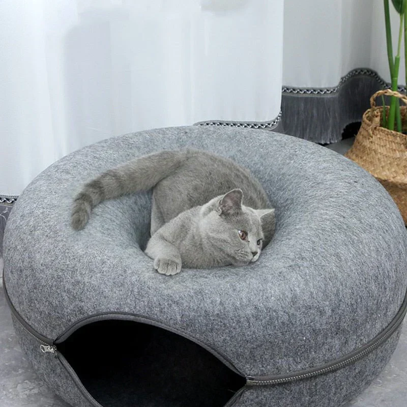 Supreme Katzen-Donut | 50% RABATT - Image 4