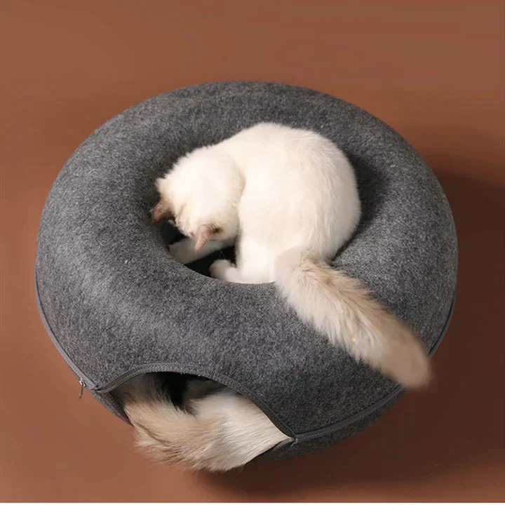 Supreme Katzen-Donut | 50% RABATT - Image 5