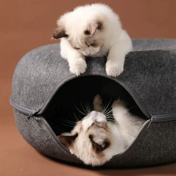 Supreme Katzen-Donut | 50% RABATT - Image 6