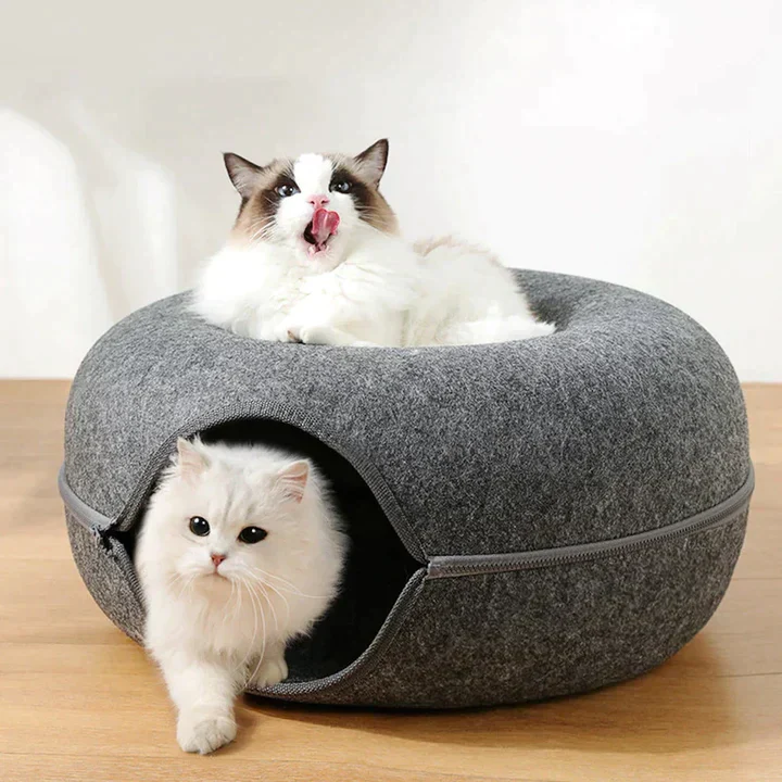 Supreme Katzen-Donut | 50% RABATT - Image 7