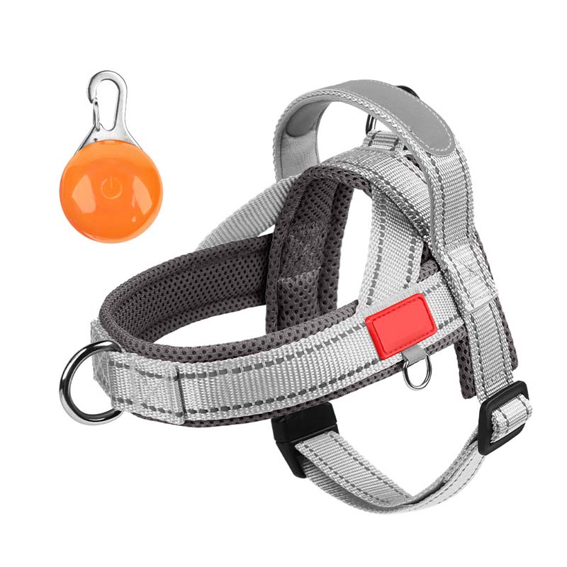 Total Comfort Geschirr — Stressfreie, sichere Spaziergänge - Image 17