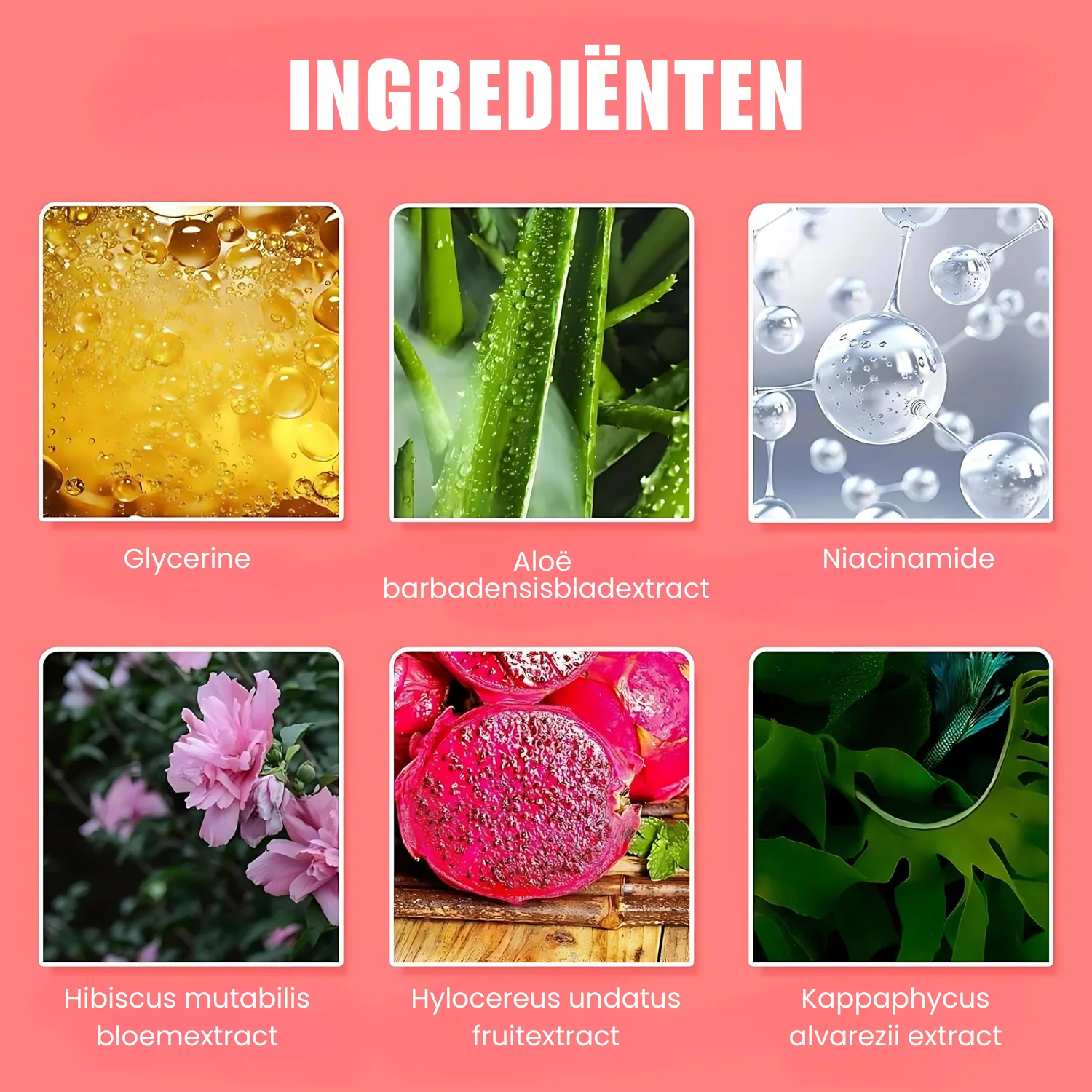 GlossBerry™ – Water Jelly Tintstick | Van Subtiel tot Stralend in Slechts Eén Swipe | 50% RABATT - Image 12