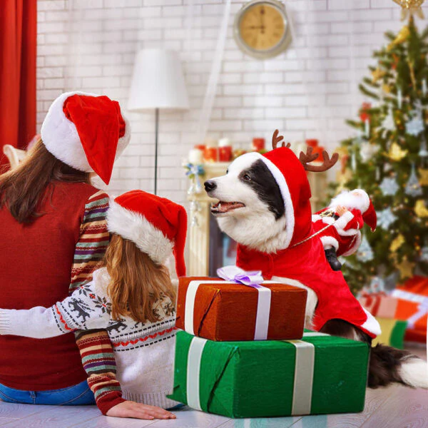 Weihnachtshund | 50% RABATT - Image 4