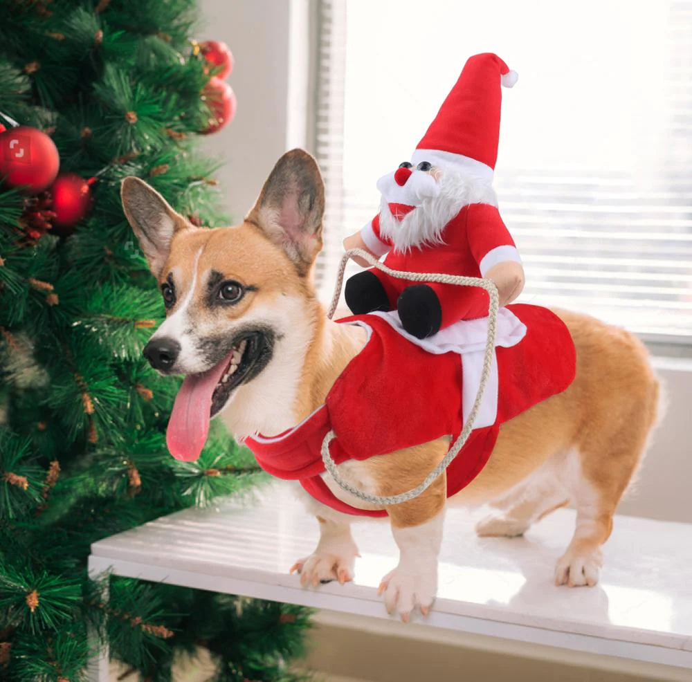 Weihnachtshund | 50% RABATT - Image 5