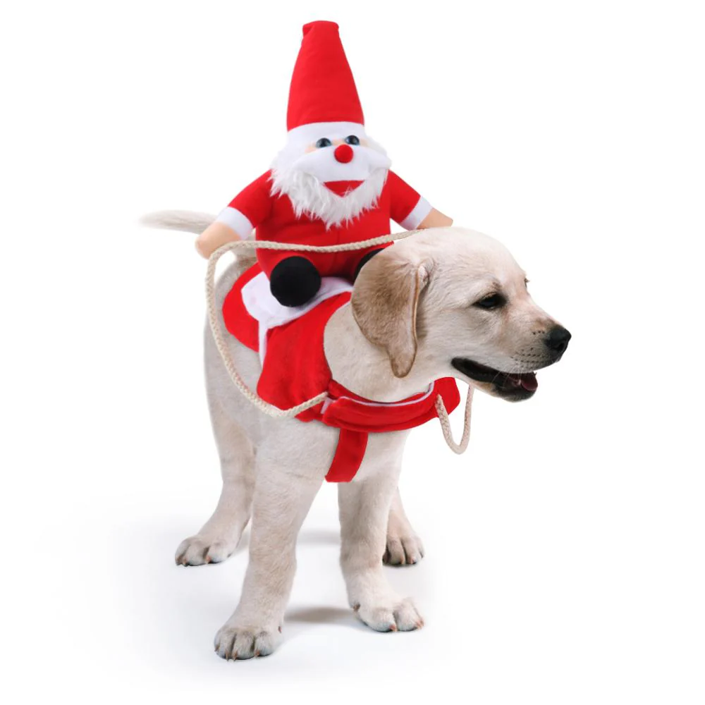 Weihnachtshund | 50% RABATT - Image 7